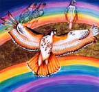 33-RainbowsRaptors