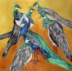 334-peacocks
