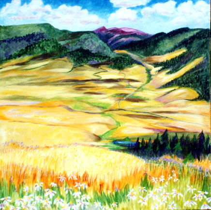 d254-mountainmeadow